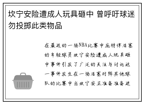 坎宁安险遭成人玩具砸中 曾呼吁球迷勿投掷此类物品